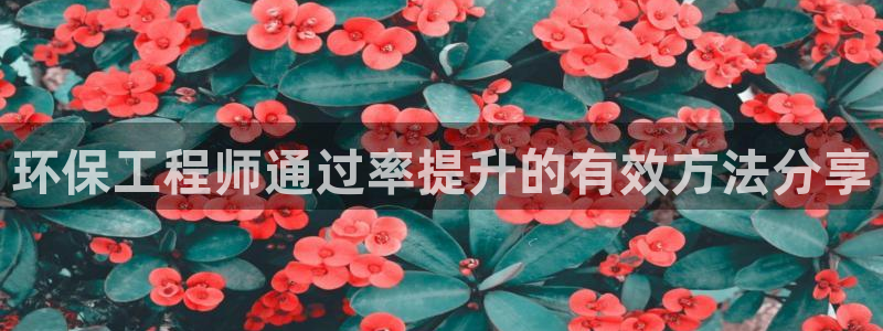 彩名堂免费计划使用方法：环保工程师通