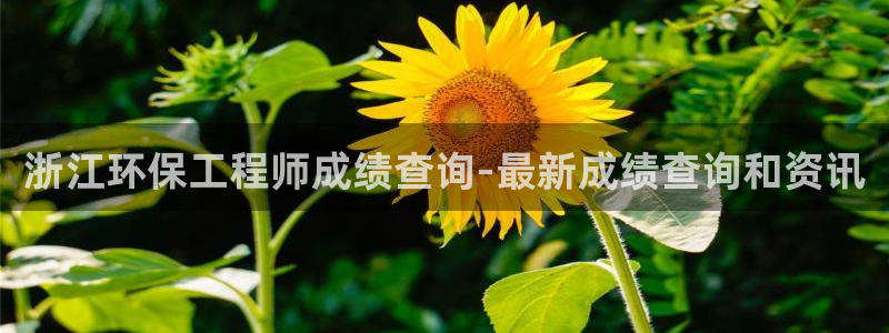 彩名堂人工计划客户端：浙江环保工程师