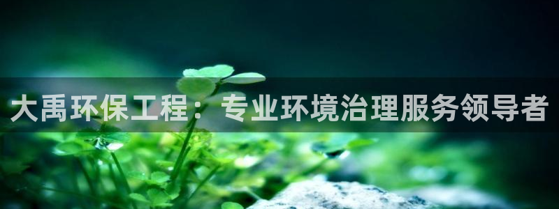 彩名堂开奖结果查询：大禹环保工程：专