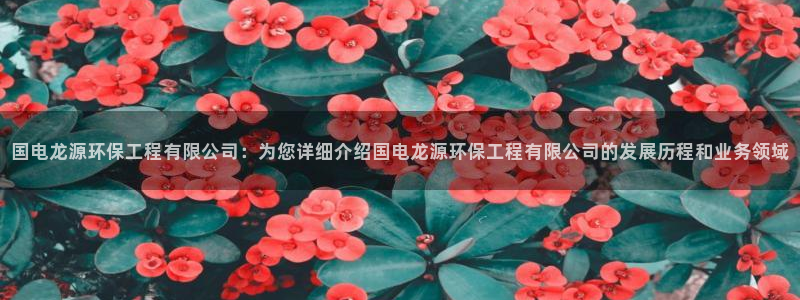 彩名堂是不是坑人的：国电龙源环保工程
