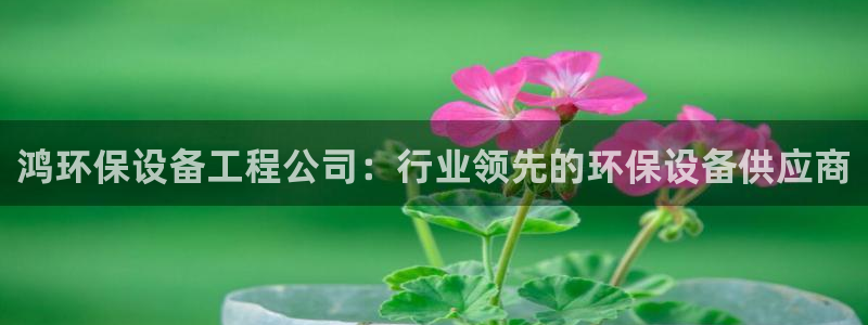 彩名堂官方软件下载：鸿环保设备工程公