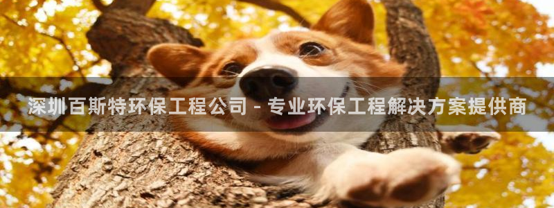 彩名堂客户端是永久免费吗安全吗知乎：