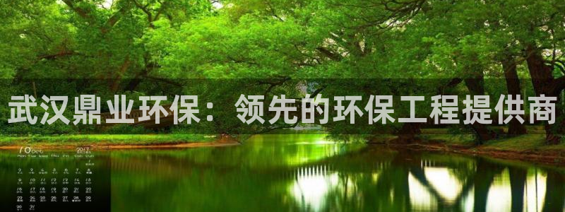 彩名堂计划技巧有哪些：武汉鼎业环保：