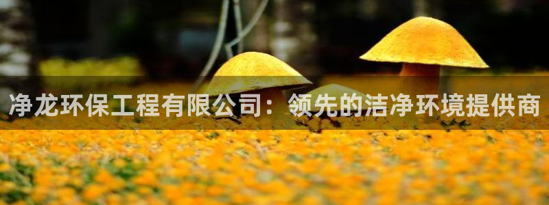 彩名堂官网计划：净龙环保工程有限公司：领先的洁净环境提供商