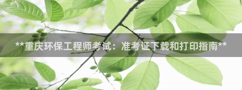 彩名堂客户端是永久免费吗是真的吗：**重庆环保工程师考试：准考证下载和打印指南**