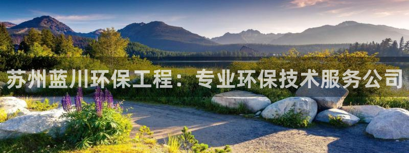 彩名堂免费计划官网怎么进不去了呀：苏