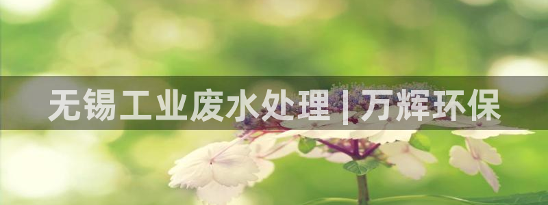 彩名堂计划怎么打不开了：无锡工业废水