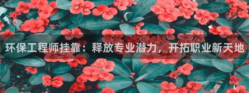 彩名堂计划怎么出的：环保工程师挂靠：