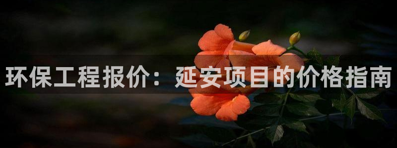 彩名堂5.0!：环保工程报价：延安项