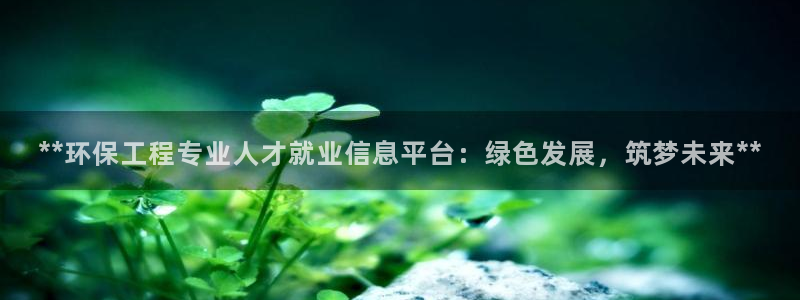 彩名堂人工计划怎么找不到下载了?：*