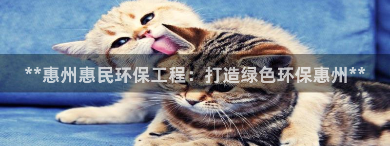 彩名堂免费计划官网5 0：**惠州惠