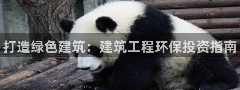 彩名堂使用方法和用量：打造绿色建筑：建筑工程环保投资指南