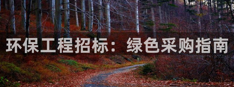 彩名堂计划怎么出的：环保工程招标：绿