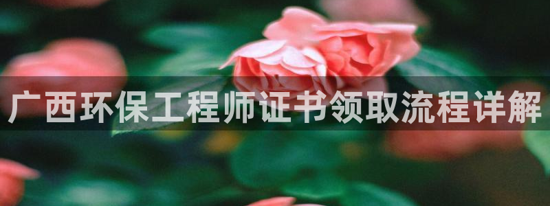 彩名堂计划官网客户端：广西环保工程师证书领取流程详解