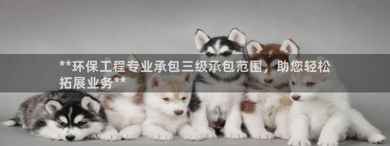 彩名堂双彩网：**环保工程专业承包三