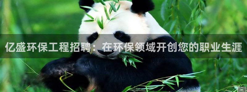 彩名堂计划app安卓免费下载：亿盛环