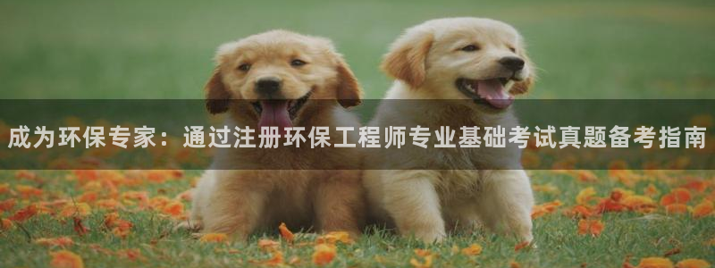 彩名堂手机客户端怎么进不去了：成为环