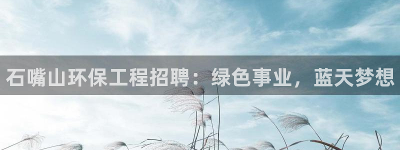彩名堂手机客户端怎么进不去了：石嘴山环保工程招聘：绿色事业，蓝天梦想