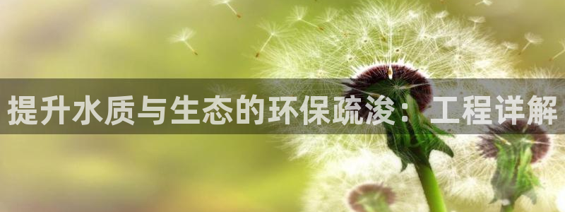 老版彩名堂：提升水质与生态的环保疏浚