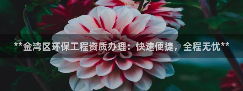 下载彩名堂预测计划软件安卓：**金湾