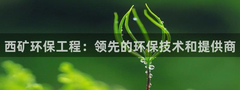 彩名堂怎么买准确率高：西矿环保工程：领先的环保技术和提供商