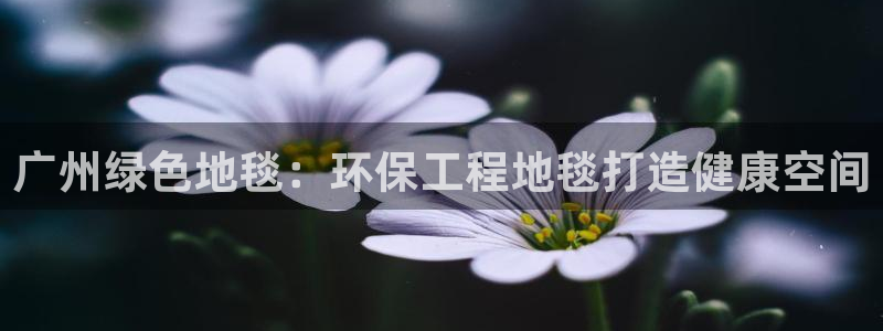 彩名堂网页：广州绿色地毯：环保工程地