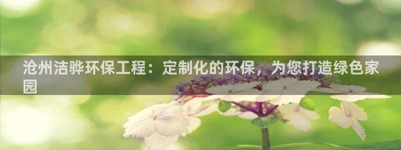 彩名堂使用方法和用量：沧州洁骅环保工