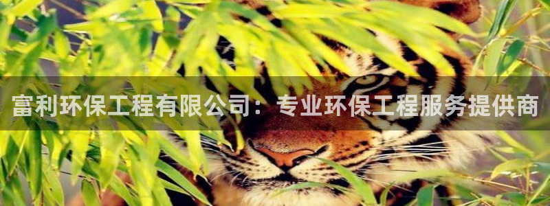 彩名堂人工计划客户端：富利环保工程有