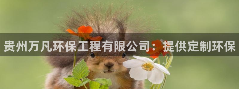 彩名堂为啥不准了乱变：贵州万凡环保工