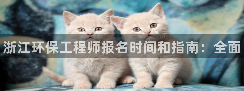 彩名堂网页：浙江环保工程师报名时间和
