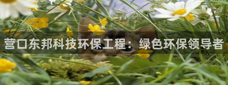 彩名堂是不是坑人的东西：营口东邦科技