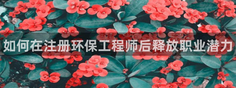 彩名堂加拿大怎么买准确率高：如何在注