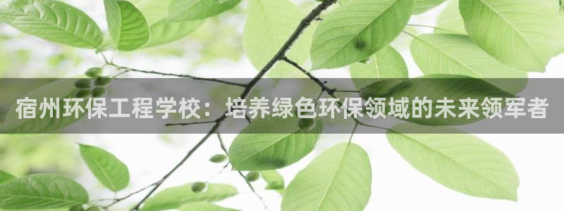 彩名堂计划怎么跟不挂