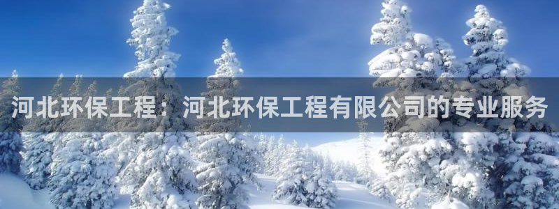 彩名堂免费计划5.0使用方法是什么：