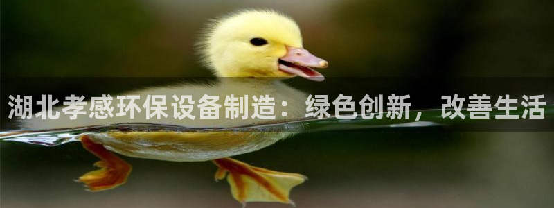 彩名堂免费计划软件下载：湖北孝感环保