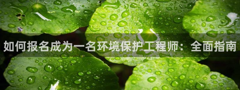 彩名堂是什么：如何报名成为一名环境保护工程师：全面指南
