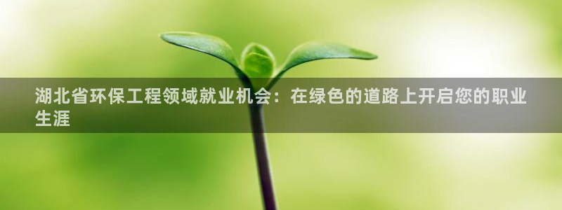 彩名堂：湖北省环保工程领域就业机会：