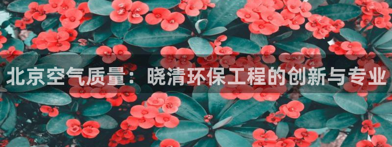 彩名堂一直不出结果怎么回事呢：北京空