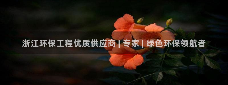 彩名堂好用还是千里马好用一点：浙江环