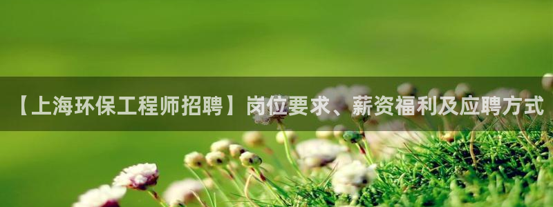 最新彩名堂计划：【上海环保工程师招聘