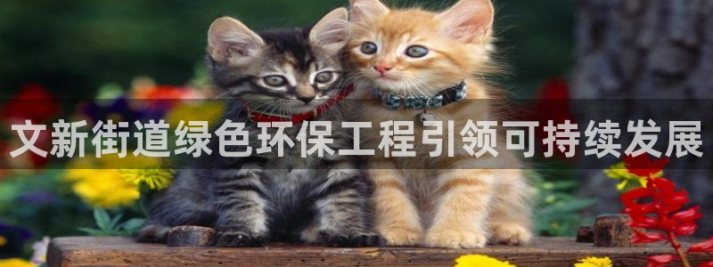 彩名堂一直不出结果怎么回事呀：文新街道绿色环保工程引领可持续发展