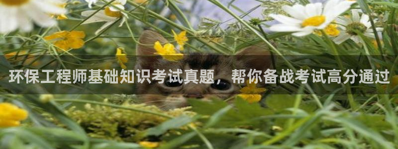 彩名堂5.0版计划怎么用不了：环保工