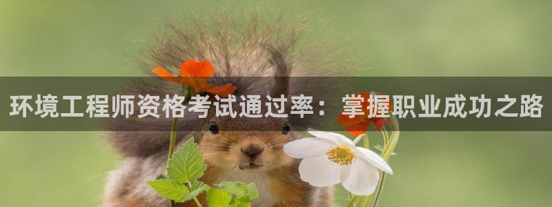 彩名堂改名稻草人了吗：环境工程师资格