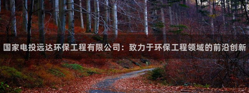 彩名堂最新免费计划官网：国家电投远达