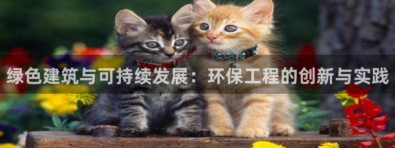 彩名堂用不了：绿色建筑与可持续发展：环保工程的创新与实践