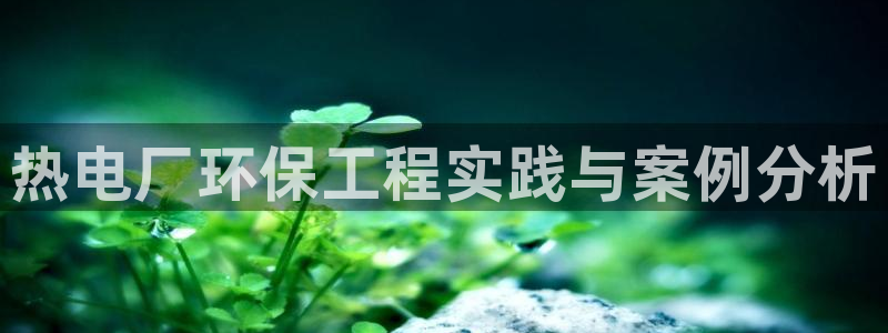 彩名堂官网在线计划怎么不更新了：热电