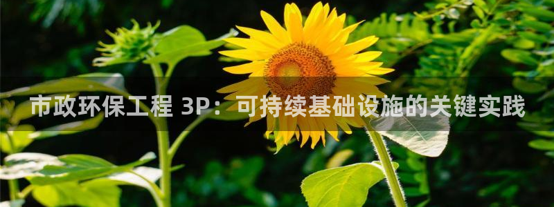彩名堂计划技巧：市政环保工程 3P：