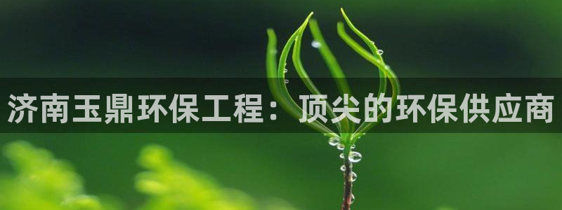 彩名堂计划app新版：济南玉鼎环保工程：顶尖的环保供应商