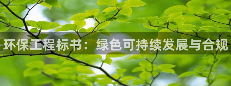 彩名堂怎么不能用了：环保工程标书：绿
