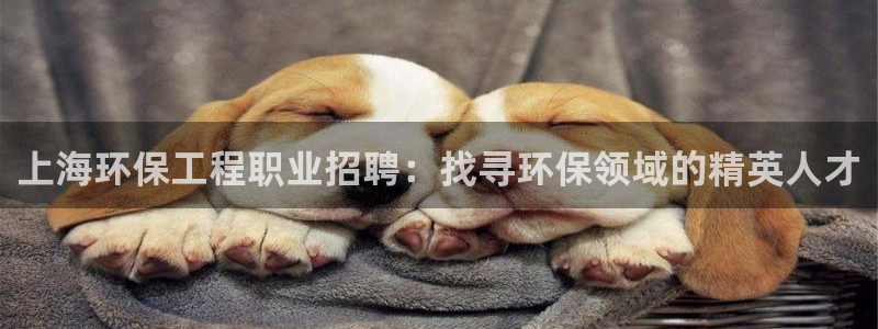 彩名堂计划怎么跟,为什么我一跟就挂：
